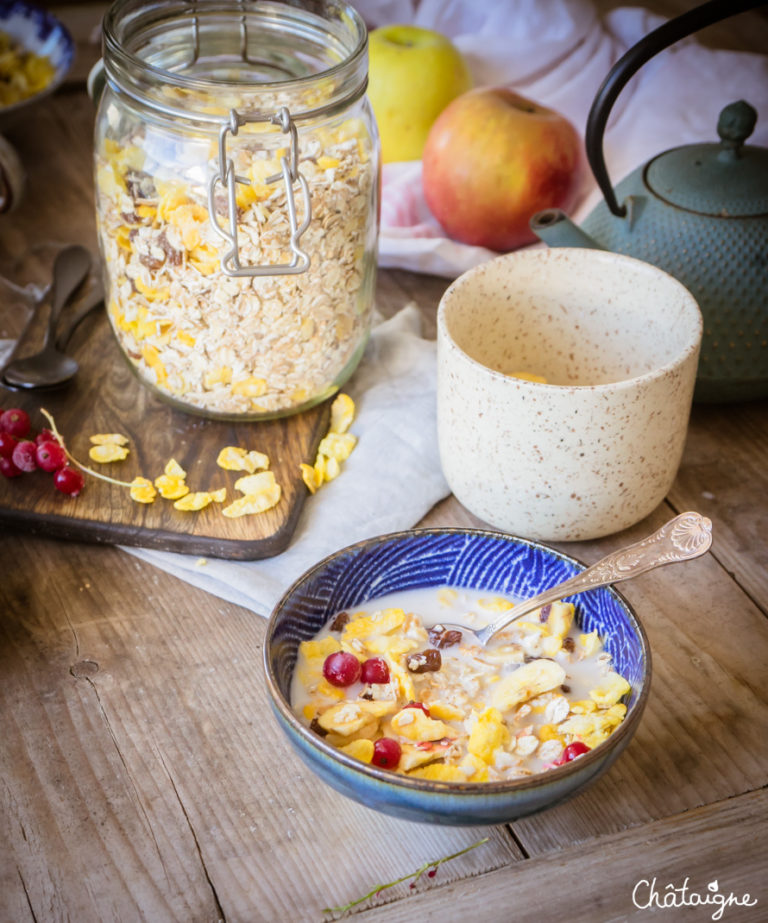 Muesli Maison Sans Sucre Hyper Simple Et Tr S Gourmand